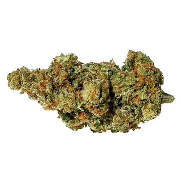 Bud image for Headband, cannabis dried flower by Pure Sunfarms