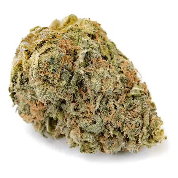 Bud image for No. 402 Blueberry Kush, cannabis dried flower by Haven St. Premium Cannabis