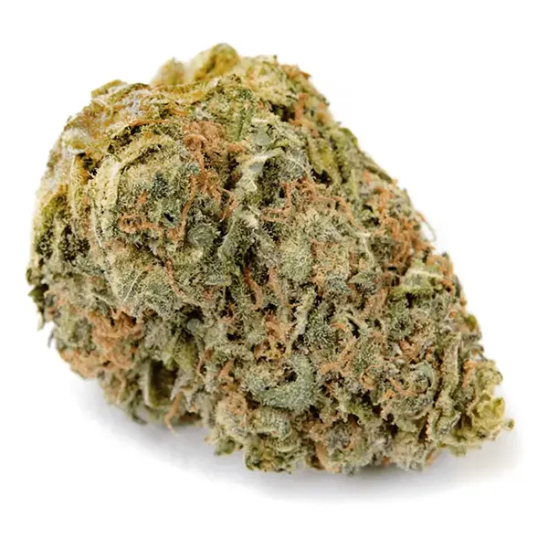 Bud image for No. 402 Blueberry Kush, cannabis all categories by Haven St. Premium Cannabis