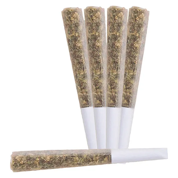 Image for Nova Live Rosin Infused Pre-Roll