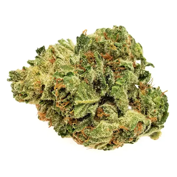 Bud image for Renew, cannabis all categories by Solei