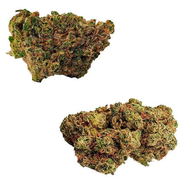 Image for Rotating Duo