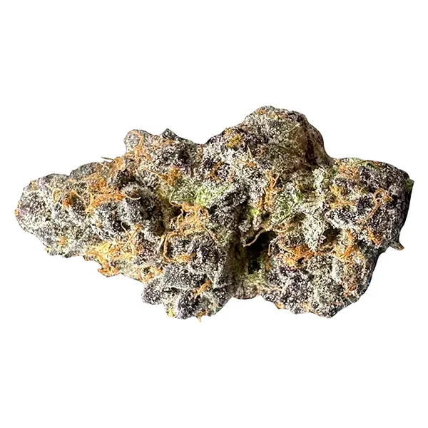 Image for Tropic Fuel