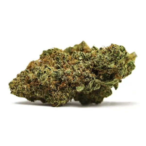Bud image for Dancehall, cannabis dried flower by Spinach