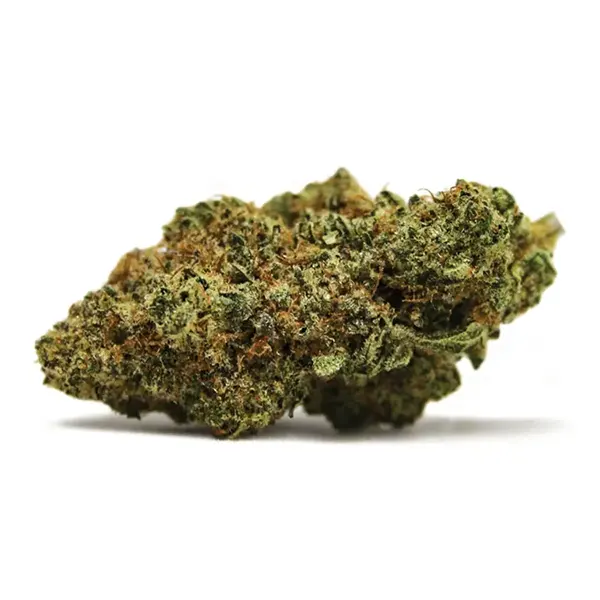 Product image for Dancehall, Cannabis Flower by Spinach