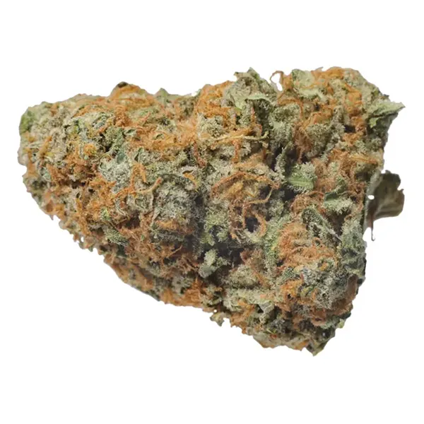 Product image for Sensi Star, Cannabis Flower by Acreage Pharms
