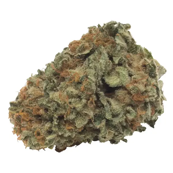 Product image for THC Hybrid, Cannabis Flower by THC BioMed