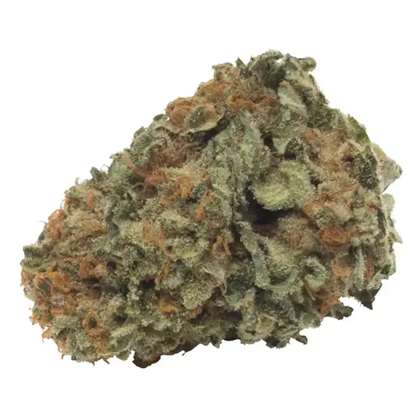 Bud image for THC Hybrid, cannabis all products by THC BioMed