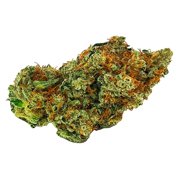 Plant Bud by 1Spliff
