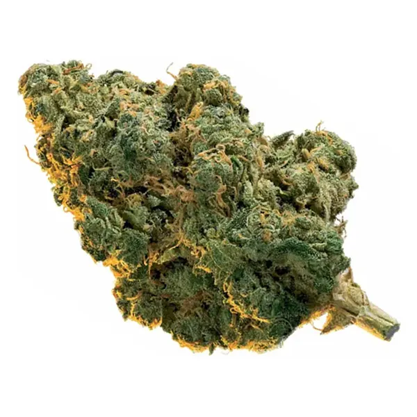 Product image for Edison Cannabis Flower by Organigram Holdings Inc.
