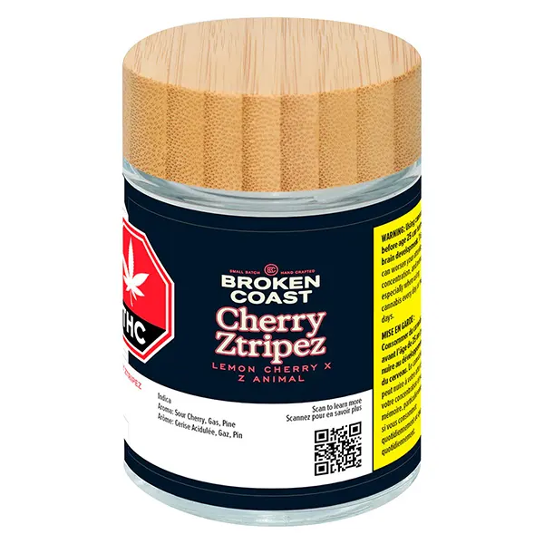Cherry Ztripez (Dried Flower) by Broken Coast