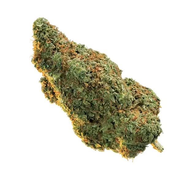 Product image for Casablanca, Cannabis Flower by Edison