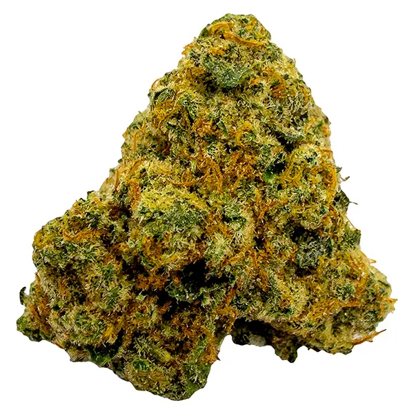 Image for Durban Poison