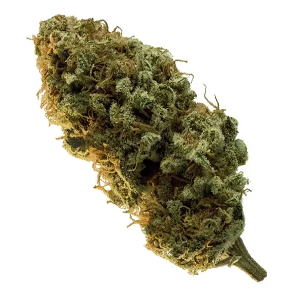Product image for El Dorado, Cannabis Flower by Edison