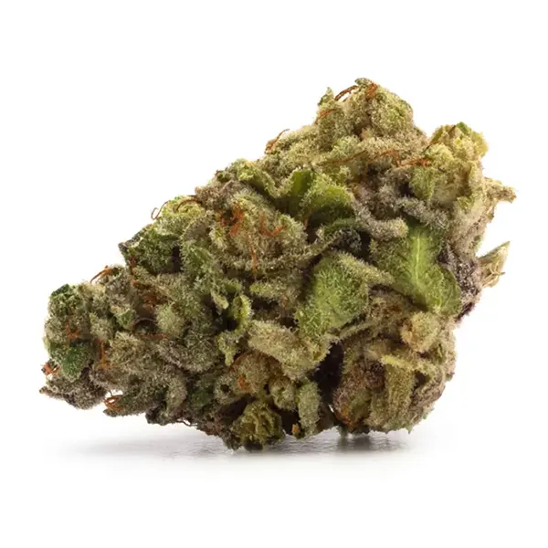 Bud image for C-LAND, cannabis dried flower by Tweed