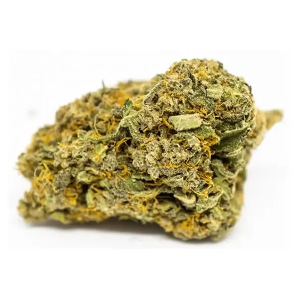 White Widow (Dried Flower) by Canaca