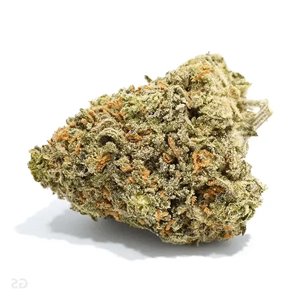 Bud image for Mango, cannabis all categories by Canaca