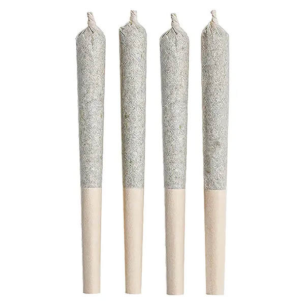 Image for Little Red Pre-Roll