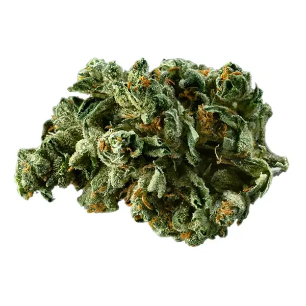 Bud image for Alien Dawg, cannabis dried flower by Canaca