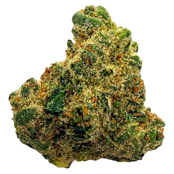 Bud image for Northern Lights, cannabis dried flower by PEPE