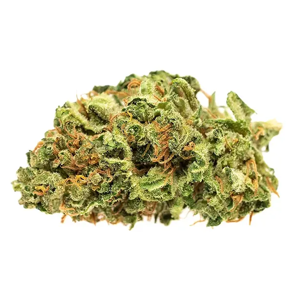 Bud image for Jean Guy, cannabis all flower by Canaca