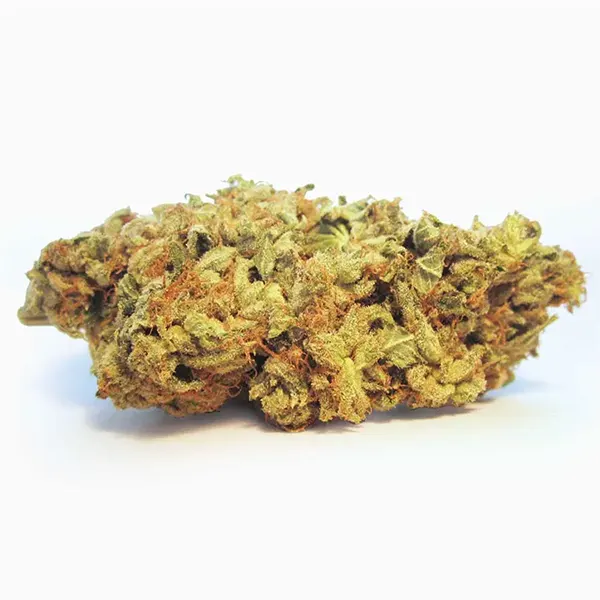 Product image for Blueberry, Cannabis Flower by Canaca