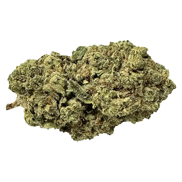 Bud image for Pirate Milk, cannabis dried flower by Terp Town Collective