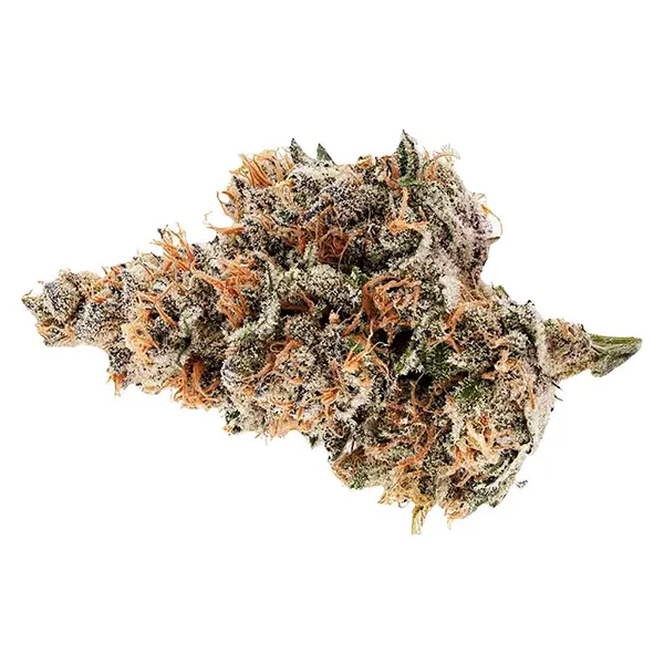 Raspberry Runtz