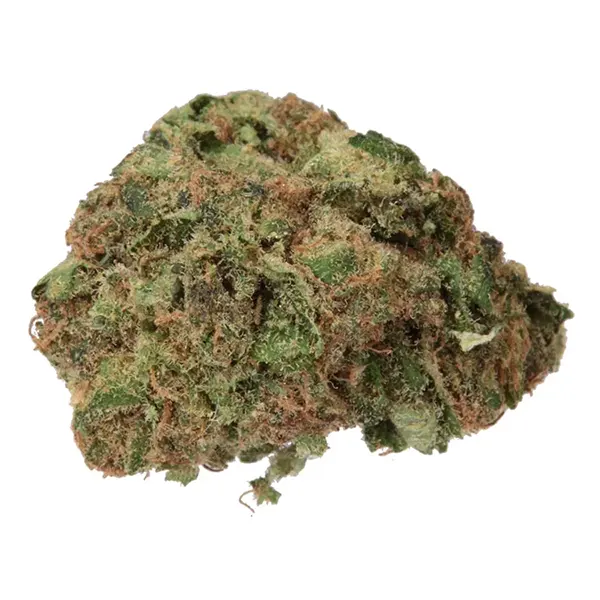 Product image for No. 101 White Cloud, Cannabis Flower by Haven St. Premium Cannabis