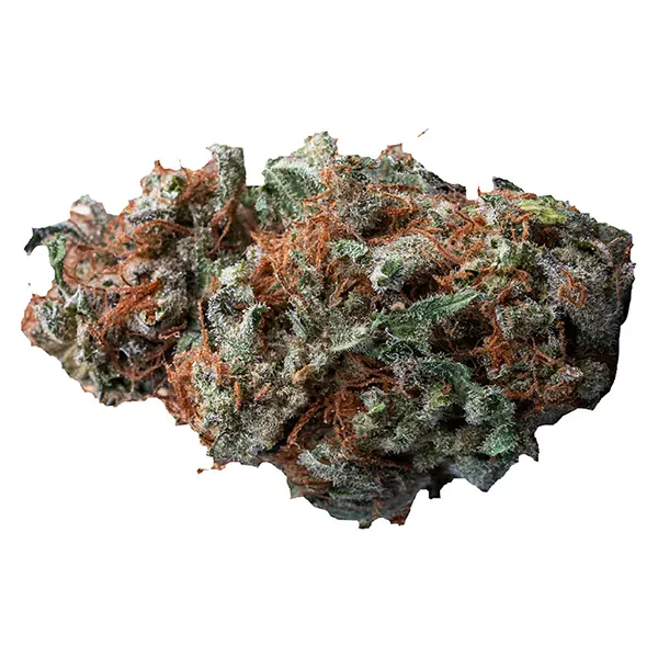 Sasquatch Sap