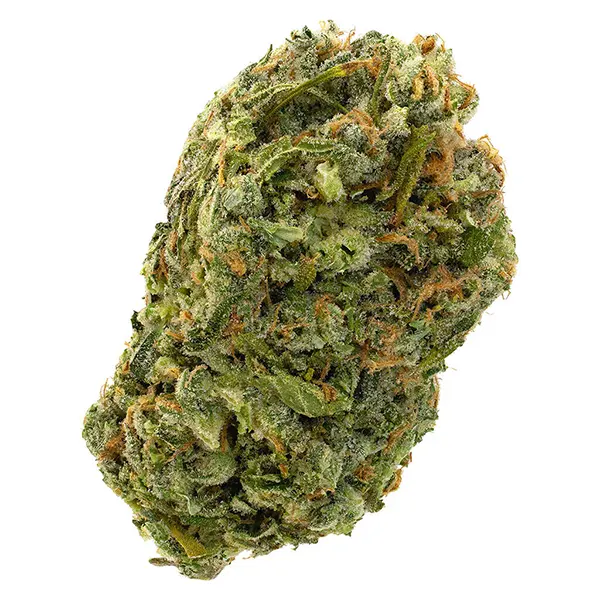 Image for Silver Diesel
