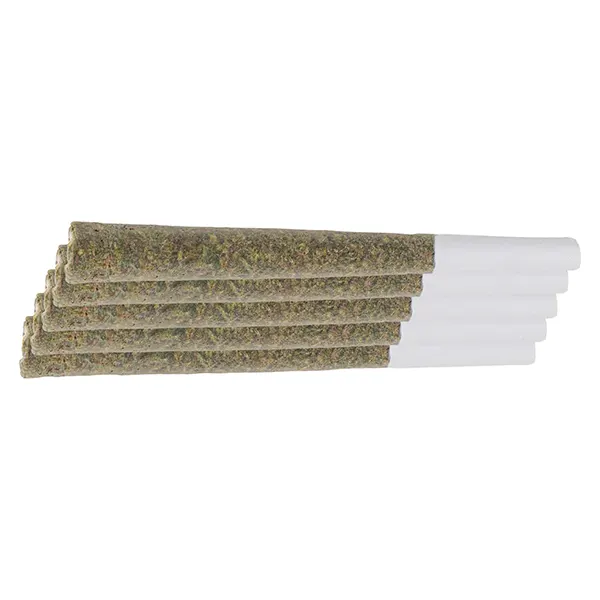 Image for Slurricane Pre-Roll