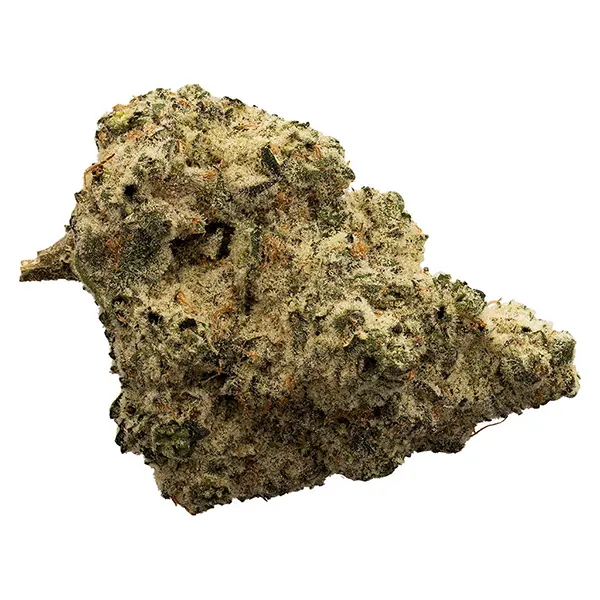 Bud image for Headband, cannabis all products by The Loud Plug