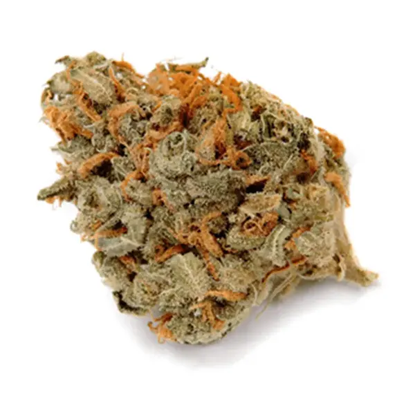 Product image for No. 502 White Light, Cannabis Flower by Haven St. Premium Cannabis