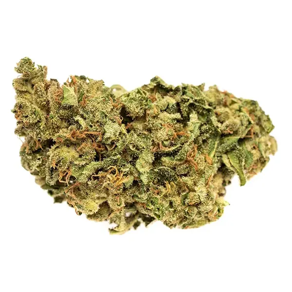 Bud image for Sense, cannabis all categories by Solei