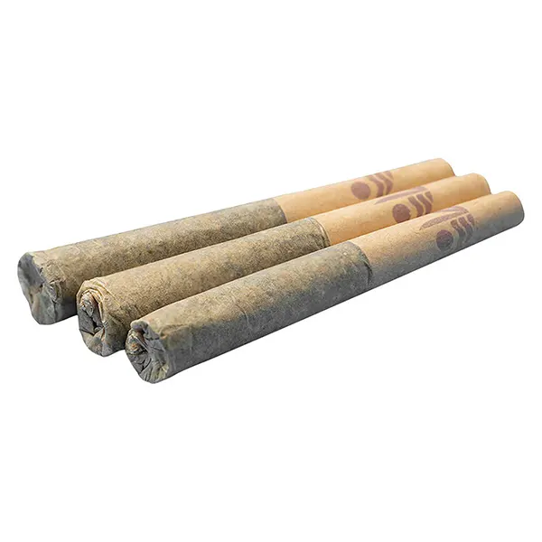 Image for TROPIC THUNDER Pre-Roll
