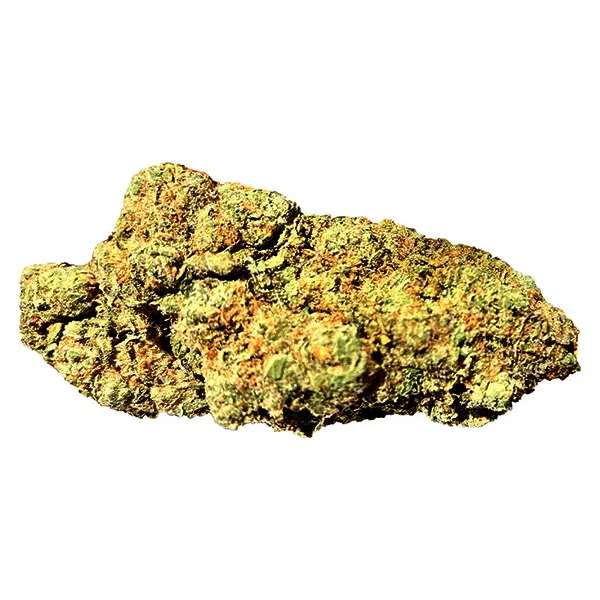 TRUE SKUNK - Pre..