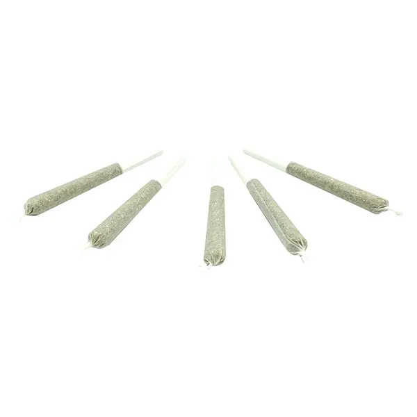 Image for Truffle Treats Pre-Roll, cannabis all products by Truro