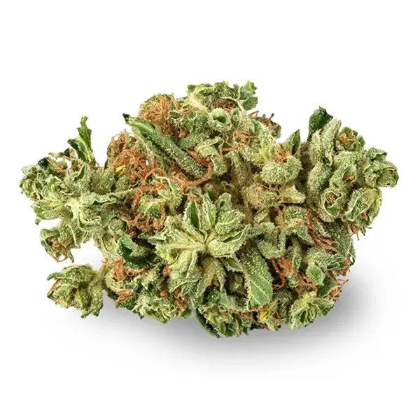 Product image for OG Melon, Cannabis Flower by Aurora