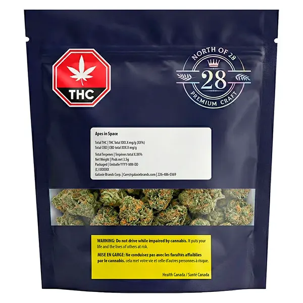 Apes in Space (Dried Flower) by North of 28
