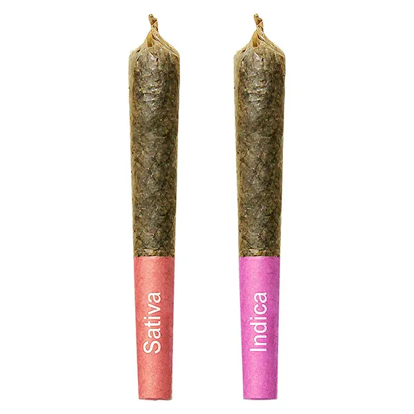 Image for Gemini Sun and Moon Duo Pack Shatter Infused Pre-Roll, cannabis pre-rolls by High Priestess