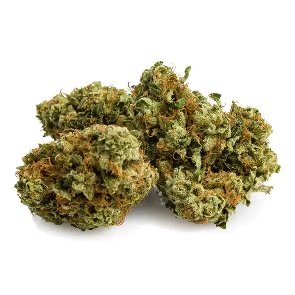 Bud image for MK Ultra, cannabis all categories by Aurora