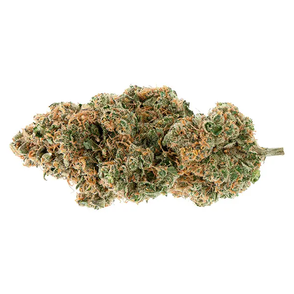 BC Organic Tange..