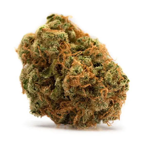 Bud image for Hindu Kush, cannabis dried flower by Tweed