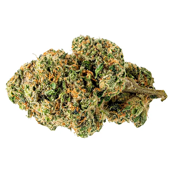 Bud image for First Class Gas, cannabis all products by Nomad