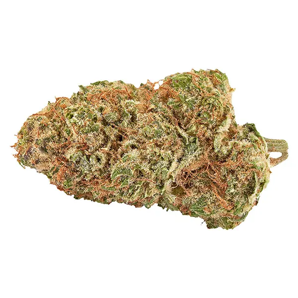 Image for Big Bang Sativa Smallz