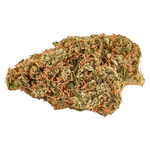 Carnaval Kush