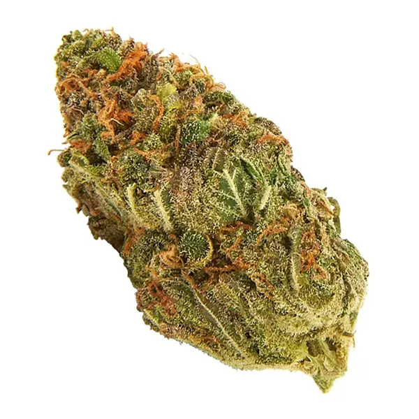 Product image for Shishkaberry, Cannabis Flower by Seven Oaks