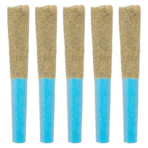 Image for Blue Line Razz Infused Pre-Roll, cannabis pre-rolls by Highly Dutch Organic