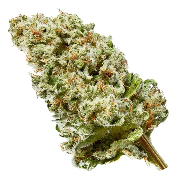 Product image for Gems, Cannabis Flower by UP